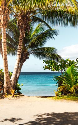 Изображение №1 4016x5197 «Пляж Пуэрто-Рико» из коллекции «Пляж»