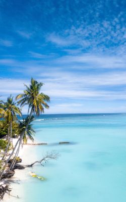 Изображение №5 2140x3810 из коллекции «Пляж»