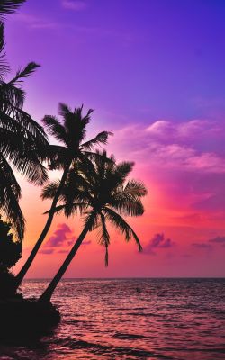 Изображение №6 2848x4288 «Красивый закат, пальмы, Мальдивы» из коллекции «Пляж»