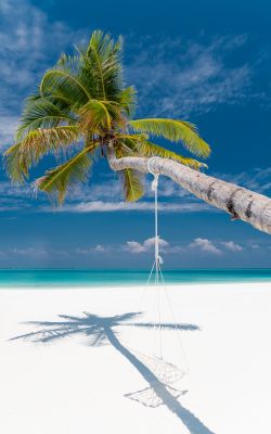 Изображение №7 3666x5499 «Пляж, белый песок, пальма» из коллекции «Пляж»