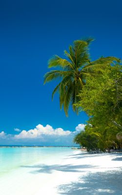 Изображение №8 2921x3651 из коллекции «Пляж»