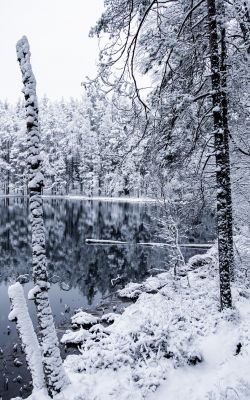 Изображение №12 3712x5568 «Озеро в зимнем лесу» из коллекции «Зимний лес»