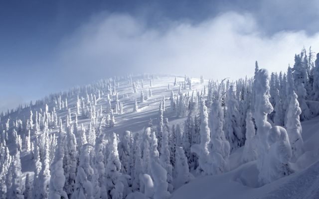 Изображение №15 6224x4128 «Снежный лес на горе» из коллекции «Зимний лес»