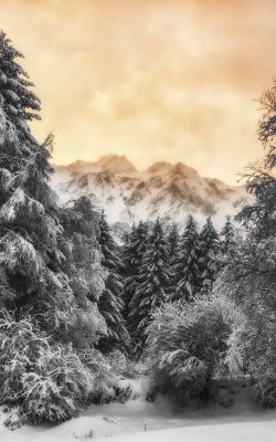 Изображение №16 3648x5472 «Заснеженный лес, горы, Италия, сумерки» из коллекции «Зимний лес»