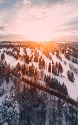 Изображение №18 3882x5176 «Красивый пейзаж над зимним лесом» из коллекции «Зимний лес»