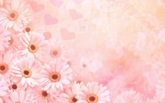 Изображение №13 1600x900 «Розовый фон с цветами» из коллекции «Розовые»