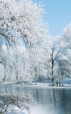 Изображение №30 750x1334 «Зимнее озеро, лес» из коллекции «Зимний лес»