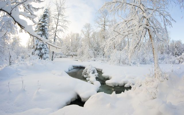 Изображение №37 4096x3072 из коллекции «Зимний лес»