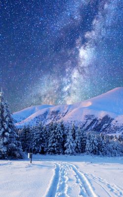 Изображение №41 1440x2560 «Зима, звезды» из коллекции «Зима»