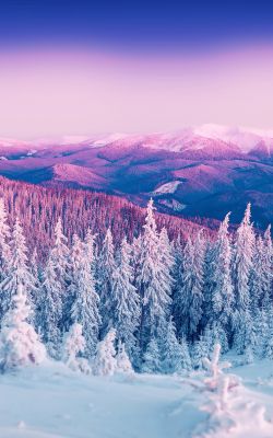 Изображение №40 744x1392 «Красивый зимний пейзаж в горах» из коллекции «Зимний лес»