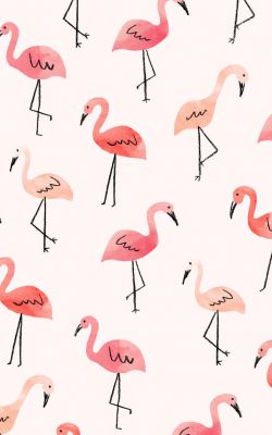 Изображение №15 852x1608 «Фламинго, текстура» из коллекции «Милые»